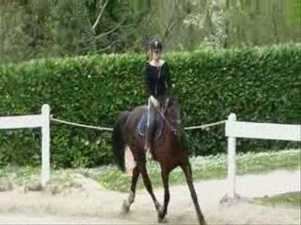 Olten stage evril 2009