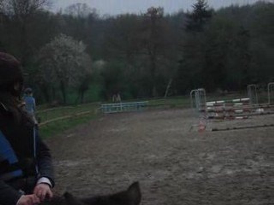 Centre équestre vrigny chevaux! 117