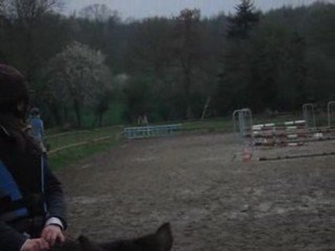 Centre équestre vrigny chevaux! 117