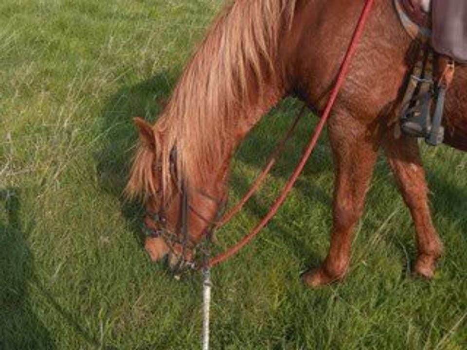 Vacances paques montalba