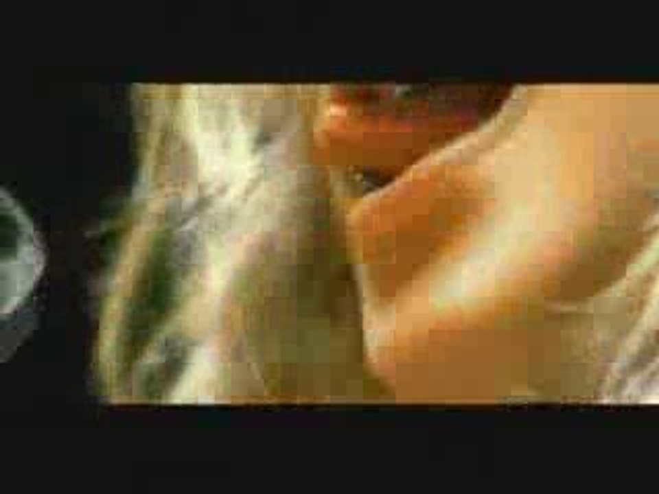 BEHEMOTH  Conquer All