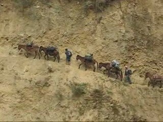 Trek : Cachora - Choquequirao - Machu Pichu