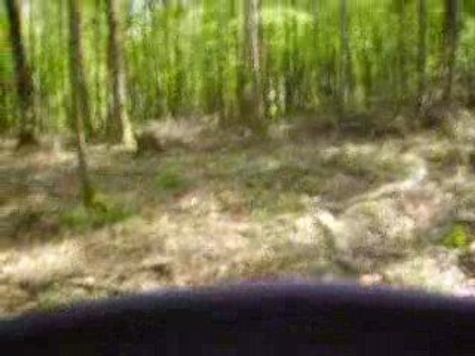 balade en 425 tgb !!!!