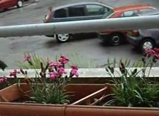 Merlo, le barde du balcon