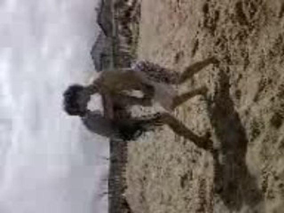 chute playa