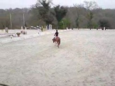 Dressage CCE Gavray Club2 19-14-2009