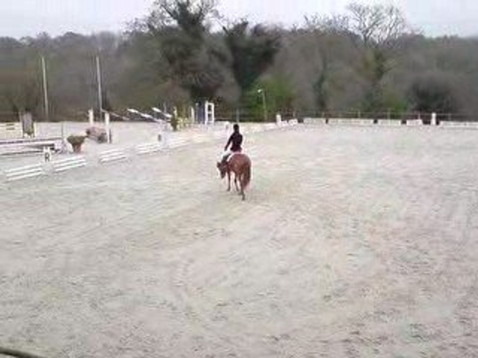 Dressage CCE Gavray Club2 19-14-2009