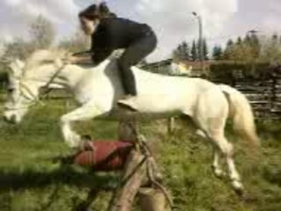 Viidey-O-graphiie0018