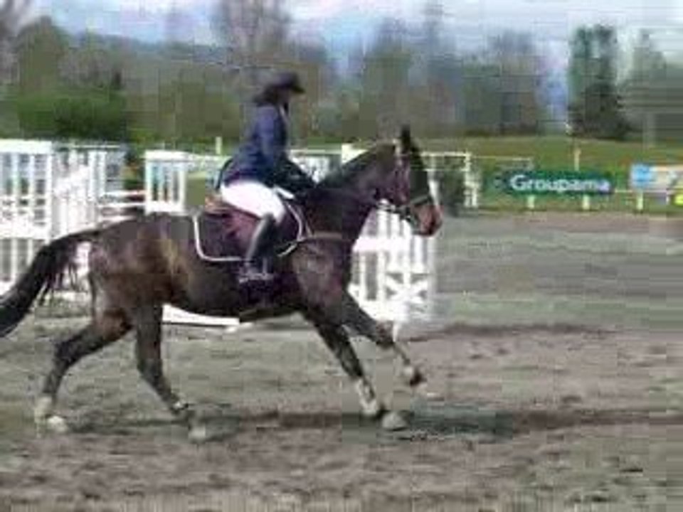 saint gaudens partie 2