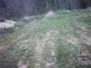 piste dans les bois des tourniex +sx pour cross cam embarker