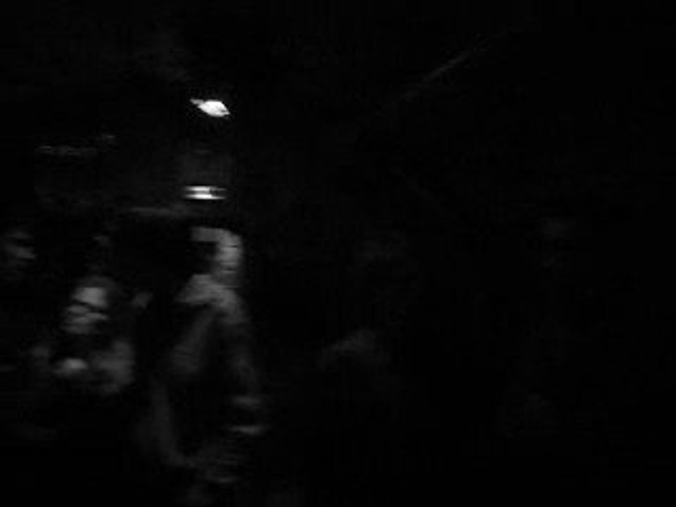 wild au zorba  17/04/09 (2)