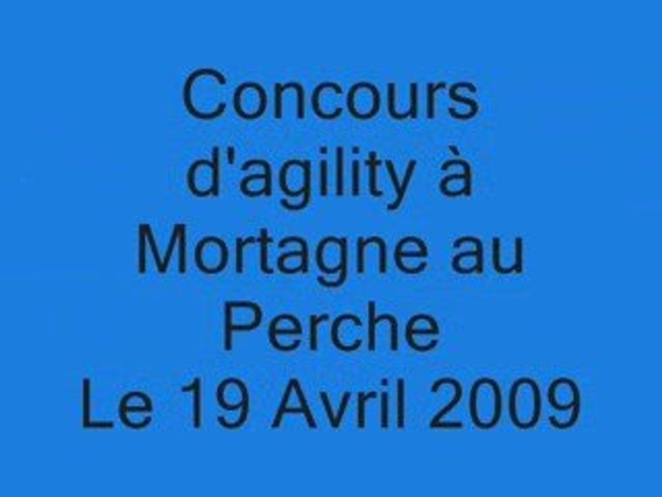 Brisca au concours d' agility à Mortagne le 19 Avril 2009