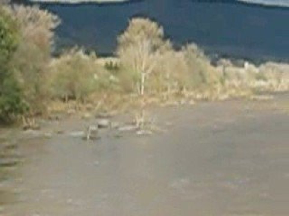 crue 2008