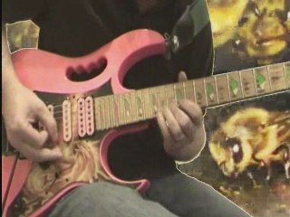 Le vol du bourdon (the flight of the bumblebee) guitare