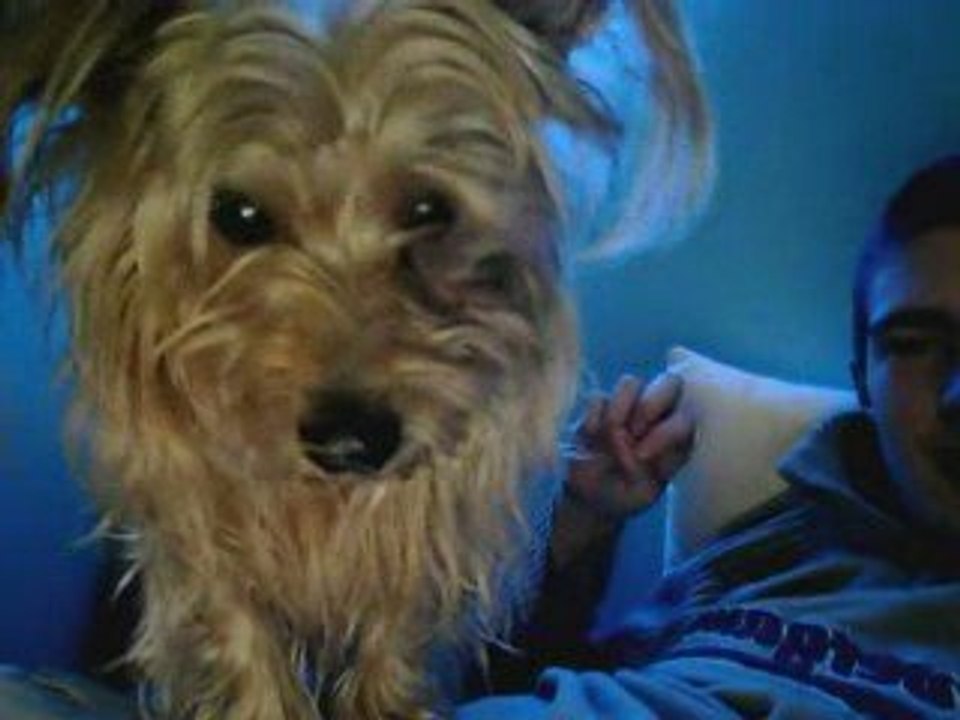 mon chien^^