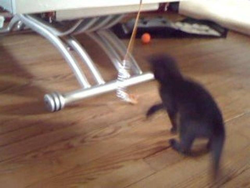 Elya s'amuse