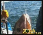 Pesca en Mar del Plata con Sandokán #7