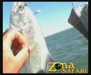 Pesca en Mar del Plata con Sandokán #3