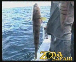 Pesca en Mar del Plata con Sandokán #5