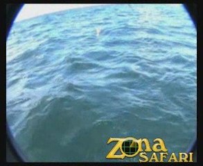 Pesca en Mar del Plata con Sandokán #6