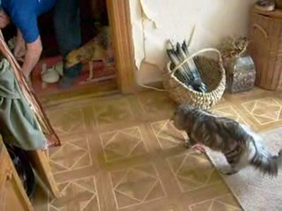 S6300297 wspolny spacer