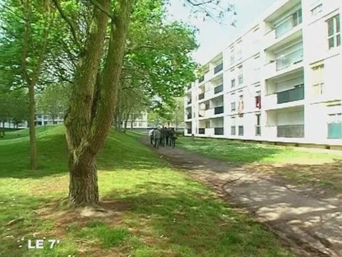 Angers : Rénovation de la Roseraie