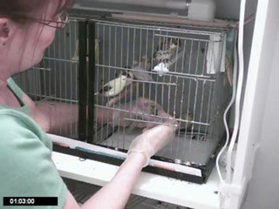 Video 58