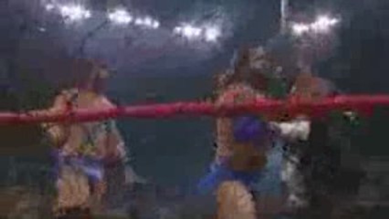 TNA Lockdown 2009 13/21