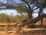 Amboseli Porini Camp - Kenya