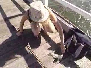 2009-04-16 Le premier poisson comestible - HERVEY BAY