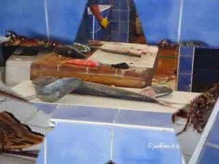 Montage marche poisson marigot_0001