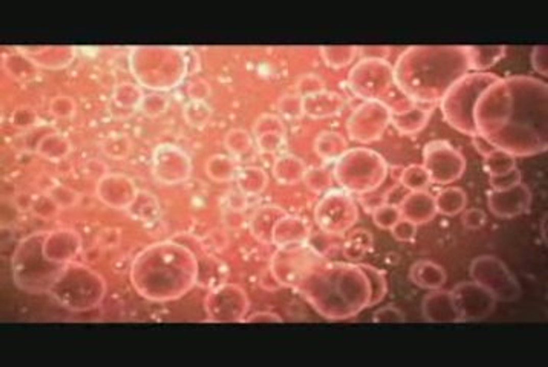 Steve Hardy - Blood Test