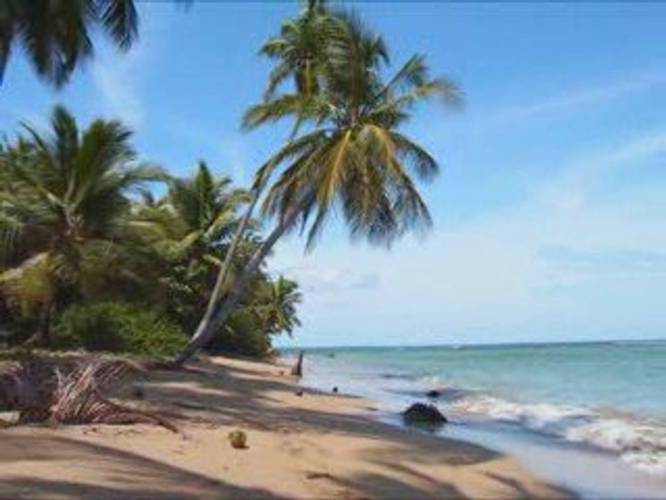 Jassica jay- casabblanka