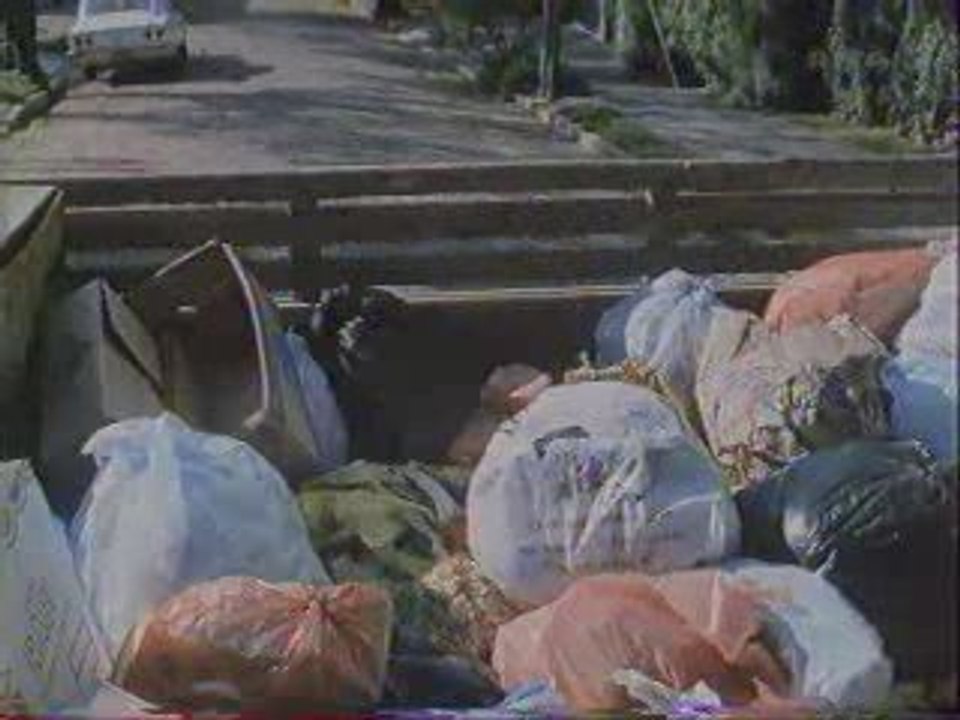 H1N1 - Grippe porcine