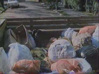 H1N1 - Grippe porcine