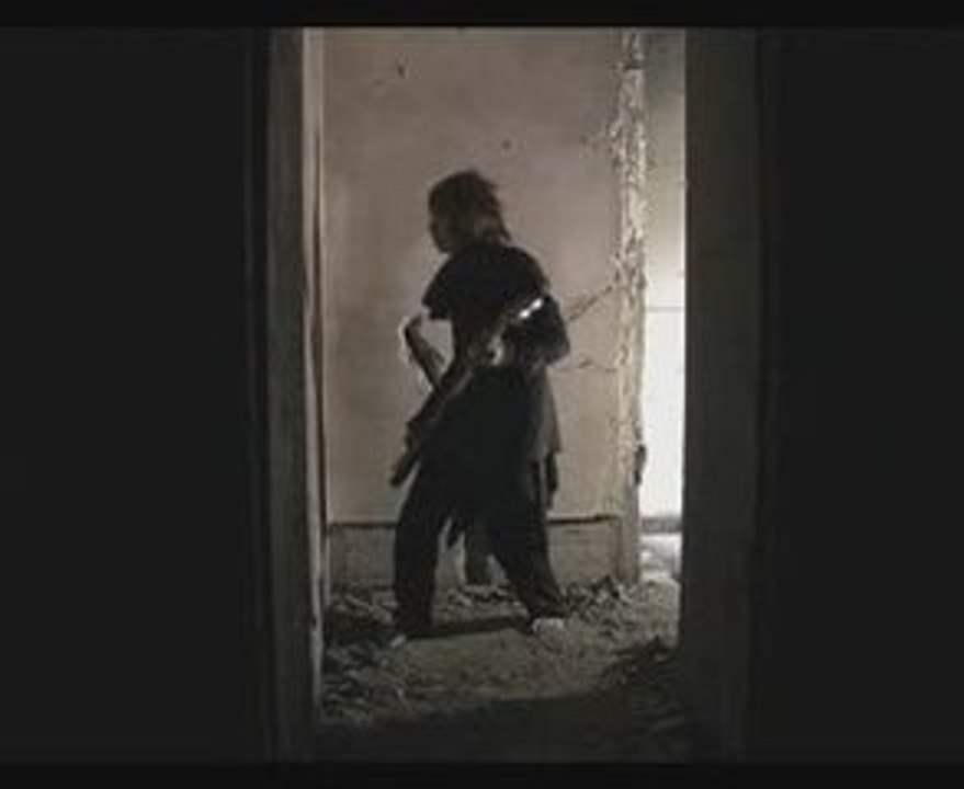 Babylon - in a coop
