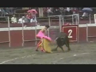 2da Corrida de la feria de san felipe 2009