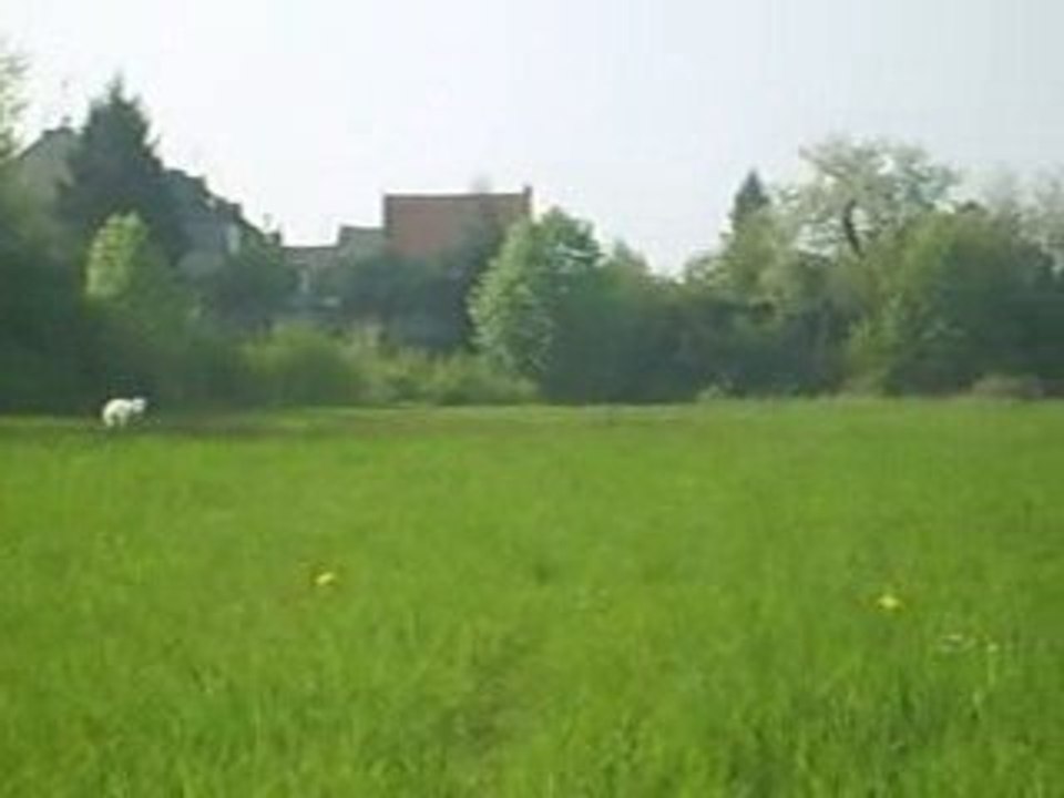 S5002004