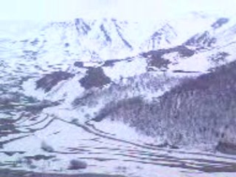 Kahve