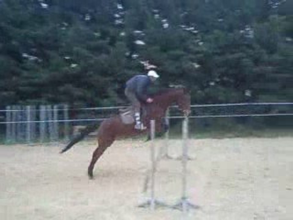 Vidéo0033