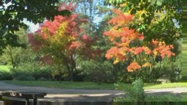 Москва другая