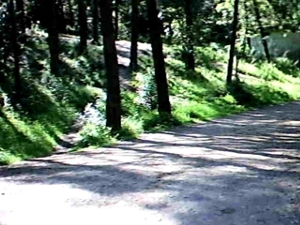 Stage Enduro Olivier Navarro Janas 19-04-09 AVI_0013