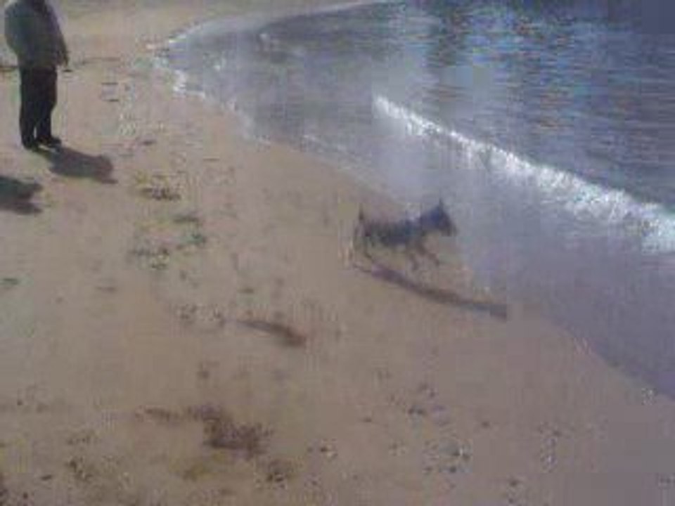 Vacances bretagne 2009 004