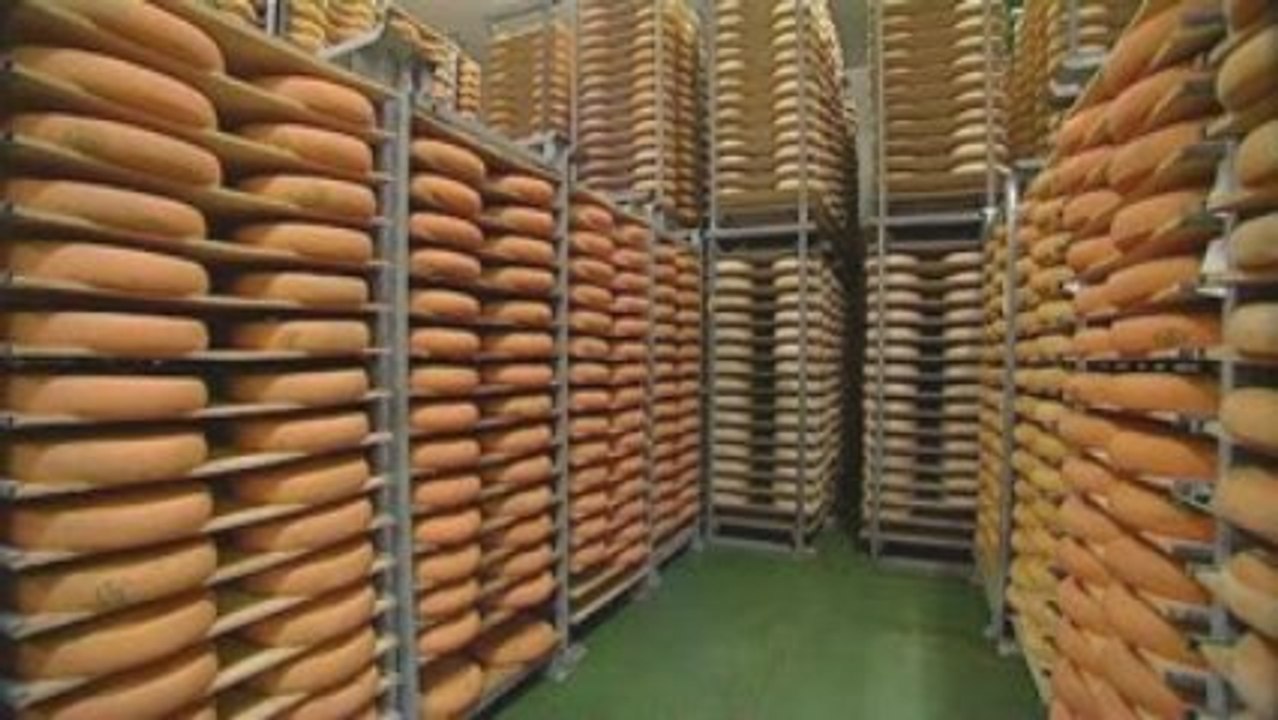 La fabrication de notre morbier !