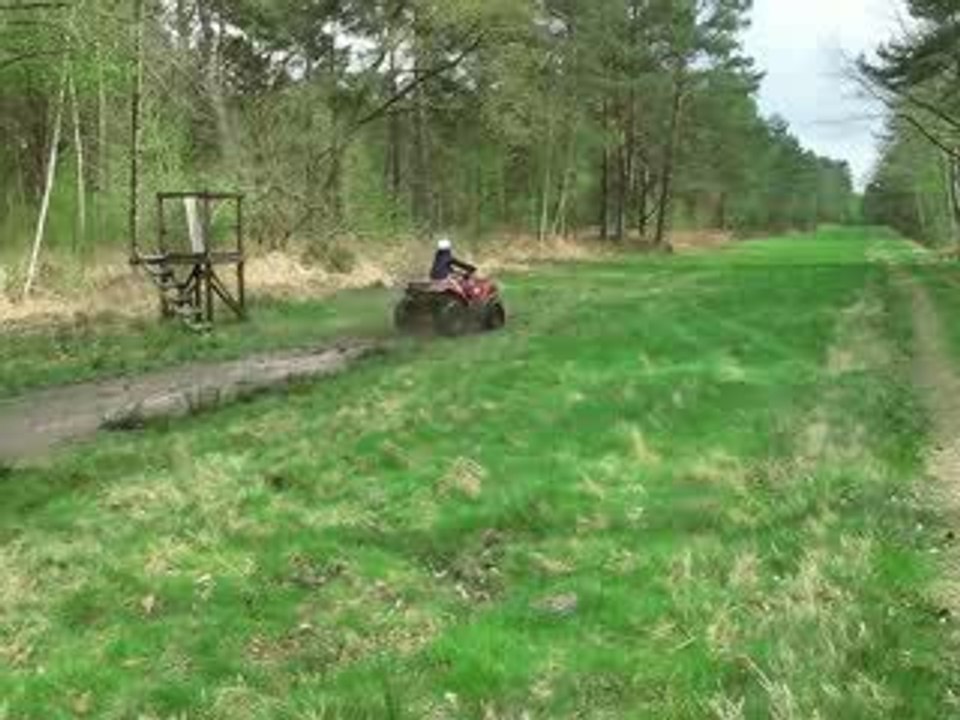 quad 2