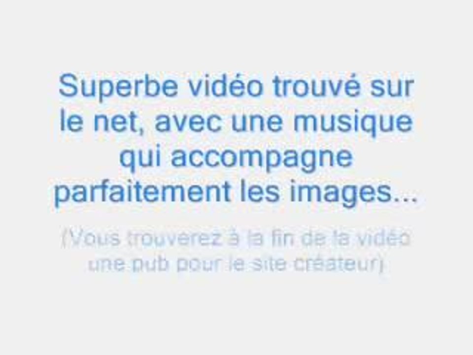 Le lyon est mort ce soir