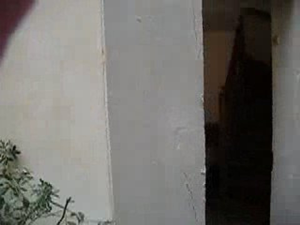 Apartment Tour