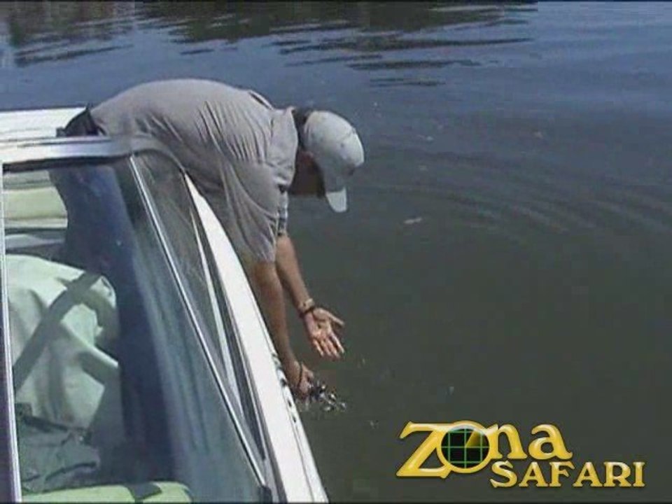 Pesca en Itá Ibaté con Lodge Gemelos #6
