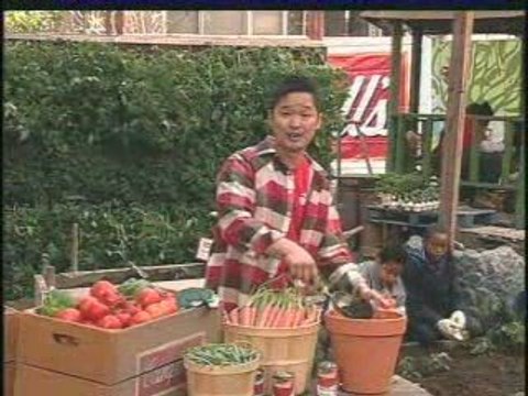 Plant and Grow Campbells Tomato Soup in Your Own Backyard