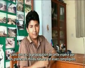 Plante et Planète présente le Palo Santo